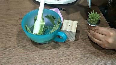 顺着花柱一个个拔出花刺