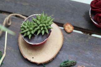 组装的时候同样大小要不一样，这样看着比较逼真