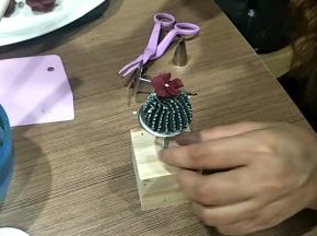 1号给小花点上花芯