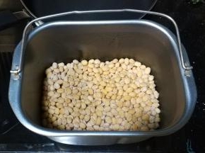 16个小时发酵好，豆上有一层白膜，再放入冰箱一晚(后发酵)，即可食用!