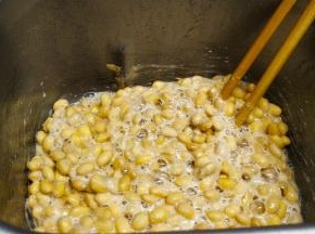 冷藏一夜后，用筷子搅拌一下，发酵成功的纳豆，拉丝很长，搅拌后的纳豆