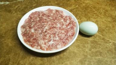 肉滑调味好，平铺在碟子里