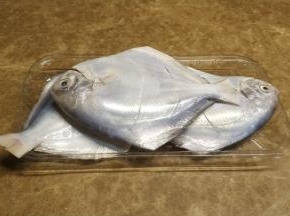 鲳鱼处理好，洗净沥干水后用盐均匀抹在鱼身上腌十五分钟