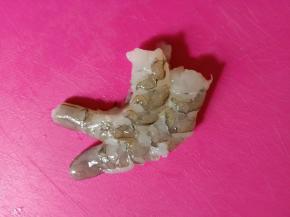 虾去头尾剥壳，去虾肠，洗干净。