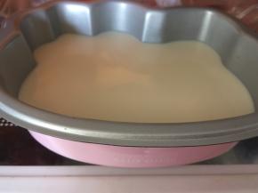 之后将模具放入冰箱冷藏一个半小时左右，牛奶凝固即可。（模具放入冰箱时，最好在右侧垫上点东西，因为模具左侧的蝴蝶结是凸起的，不垫东西会不平，牛奶层凝固后呈倾斜状态。）