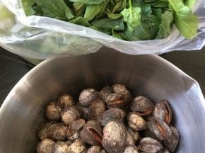 准备食材，菠菜，毛蛤蜊。