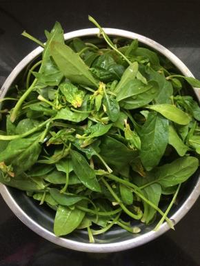 菠菜去根部，清洗洗净。