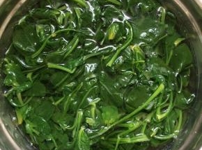 将焯过水的菠菜捞出，立即放凉水中过凉。