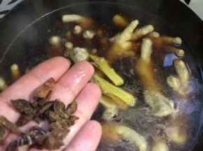 加入几颗八角。