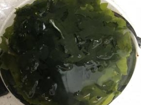 7. 即食干海带，不用清洗，用热开水冲开，3分钟就可以直接食用。