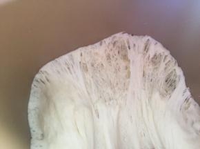 发酵至两倍大，能拉出蜂窝组织状态，即发酵好了