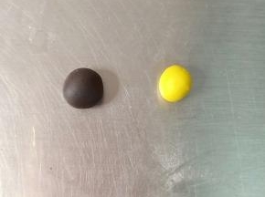 切出两个1克的白面团，分别加入可可粉和南瓜粉，揉搓均匀包保鲜袋冰箱冷藏备用