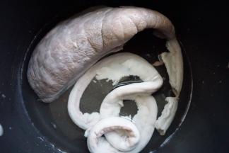 然后将焯过血水的粉肠猪肺洗过清水