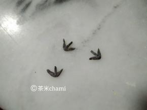 竹炭粉搓出小爪子