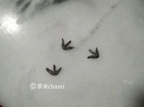 竹炭粉搓出小爪子