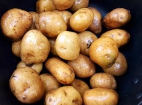小土豆洗去外面的泥