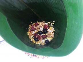 装入一点十二谷米