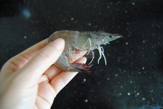先处理虾，虾剪掉虾须。