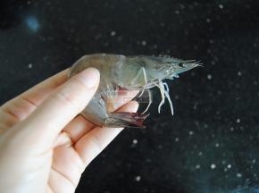 先处理虾，虾剪掉虾须。