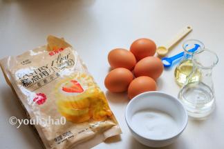 准备齐全所用的材料，所有的材料都要称量，温水用40度左右的水，植物油不要用味道比较大的花生油、橄榄油等，用无味的植物油就OK。