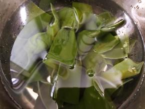 海带结清洗干净