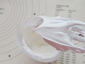 打器打到最大档，将熬好的糖水慢慢的倒入打好的蛋白中，边倒边用打蛋器搅打。混合均匀后再打2分钟左右，提起打蛋头成鹰嘴状。