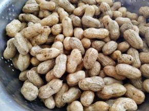 把花生倒入盆中，加入没过花生的清水浸泡20分钟，然后再用手搓揉，把花生上面的泥土搓洗干净，再用清水冲洗(想要花生更容易入味，可以把每一个花生的嘴捏开一条缝)