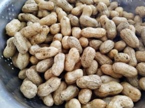把花生倒入盆中，加入没过花生的清水浸泡20分钟，然后再用手搓揉，把花生上面的泥土搓洗干净，再用清水冲洗(想要花生更容易入味，可以把每一个花生的嘴捏开一条缝)