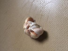 蒜剥去外皮切碎