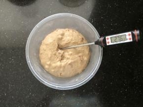 5、把揉好的面团取出放入保鲜碗中，室温25－28度进行发酵。(天气热的时候放入冰箱冷藏发酵，天气冷的时候放入发酵箱或者利用烤箱的发酵功能进行基础发酵）