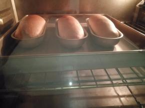 烤箱200度预热10分钟，然后再200度烤20~23分钟，上色盖锡纸。