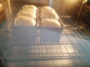 烤箱190度预热10分钟，然后上火190，下火180，放下层，烤25分钟，上色盖锡纸。