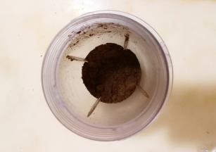 放入料理机打成粉末。