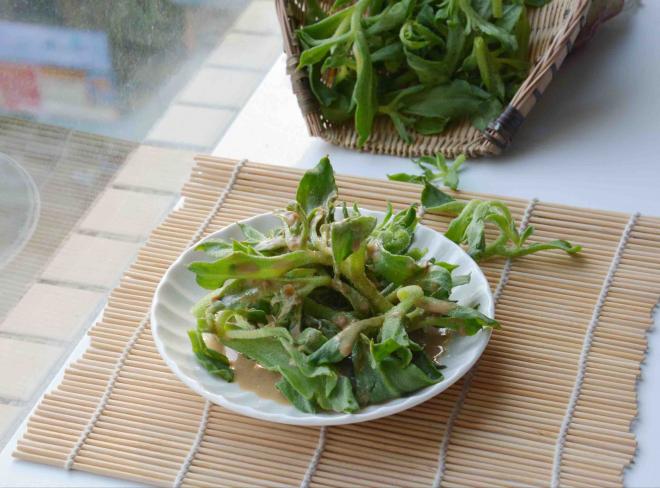夏日清爽菜：麻酱冰草