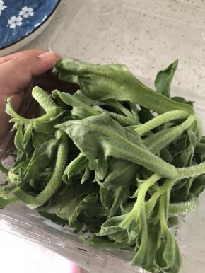 将冰草从盒子里拿出来。