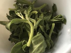 检查和载掉了不需要的硬梗和粗叶