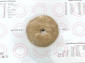 6、发酵好的面团体积增大2倍左右，手指沾少许干面粉插入面团中，不回缩不塌陷。