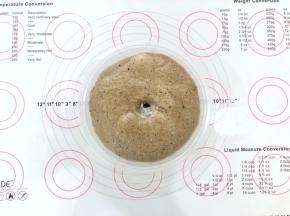 6、发酵好的面团体积增大2倍左右，手指沾少许干面粉插入面团中，不回缩不塌陷。