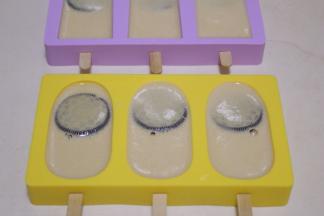 倒入准备好的模具中，盖上盖子冷冻一夜