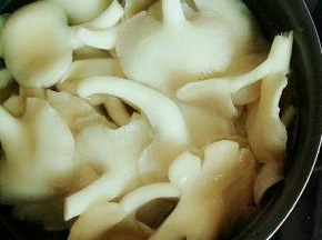 蘑菇冲洗干净  锅中焯水
