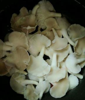 捞出放凉水过凉  沥干水份