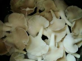 捞出放凉水过凉  沥干水份
