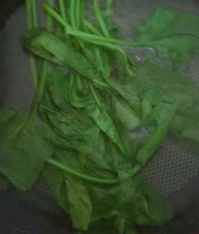 菠菜焯水 捞出切碎