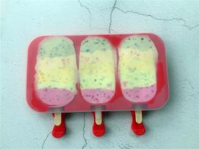 插入雪糕棒，盖上盖子放入冰箱冷冻24小时。