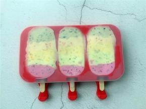 插入雪糕棒，盖上盖子放入冰箱冷冻24小时。