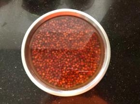 3、泡好的小红豆体积增大一倍左右。