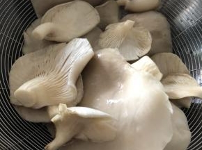 洗白白的平菇