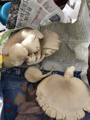 常用新鲜菌类保存小妙招：报纸！裹住就好，放到冰箱里面。