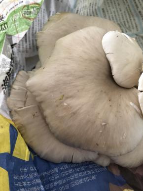 大片大片的取出来，用柔软的抹布洗干净表面，再冲刷背面的缝隙污垢