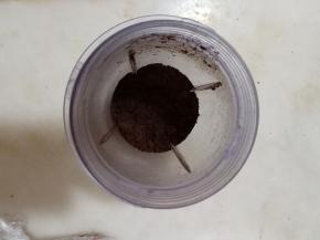 奥利奥去除夹心，放入料理机打成粉末。